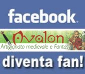 Facebook diventa fan