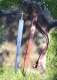 Spade e Armi antiche - Spade Medievali - Spada celtica con fodero, l'originale di questa riproduzione decorativa risale al primo secolo a.c. (Lunghezza totale: 96 cm).