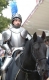 Armours - Medieval Armour - Medieval Knight Armor for parade, made of steel and fully wearable handmade, fitted with a wooden base and fitted with steel sword. This armor should be adjusted to your measurements.