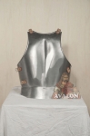 Armours - Medieval Body Armour - Back of medieval Breastplate, part of medieval armor to protect the back.