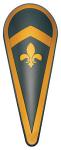 Armours - Medieval shields - Ampio scudo a mandorla con fiordaliso francese
