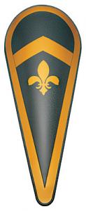 Scudo a Goccia Grande, Armours - Medieval shields - Ampio scudo a mandorla con fiordaliso francese