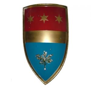 Heraldic shield, custom, Armours - Medieval shields - shield your personalized with the colors of your family crest, sending the sketch and / or 'image to be produced.